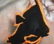 Platax pinnatus Czerwony Chauve-Sourris