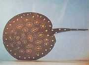 Potamotrygon leopoldi Linia słodkowodna Leopo...